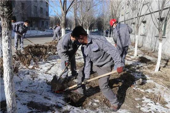 3118云顶集团矿冶植树绿化现。ㄑ钤 摄）