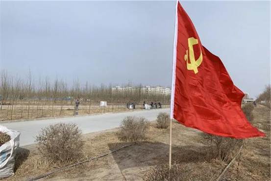 3118云顶集团纺织集团植树绿化现场 （沈智芳摄）